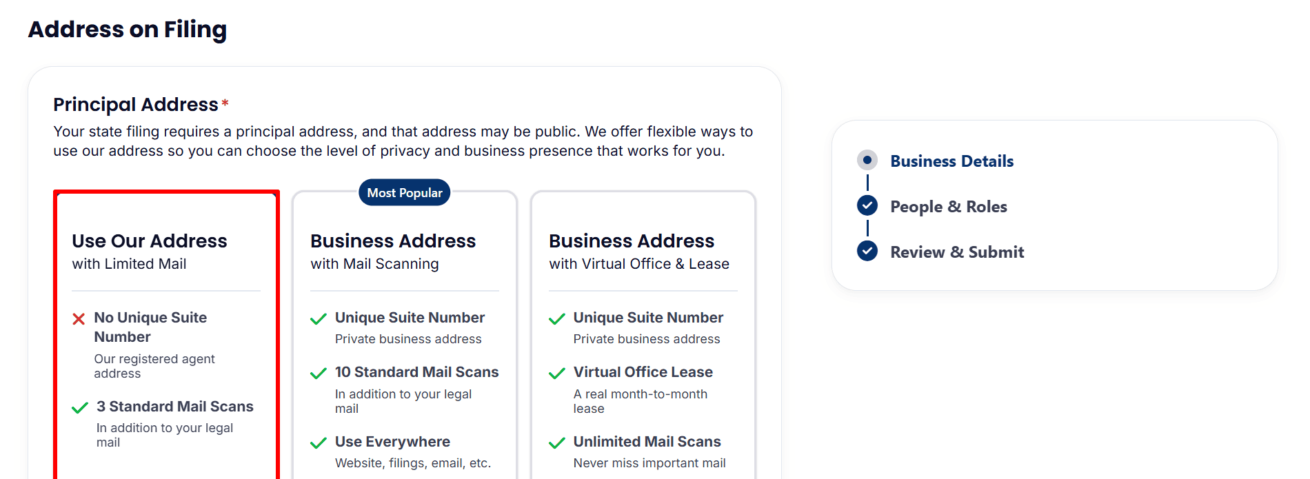 Address on Filing section comparing a registered agent address with paid business address options.